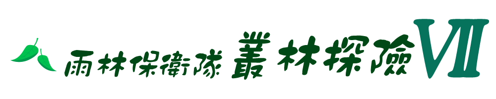 雨林保衛隊 叢林探險VII