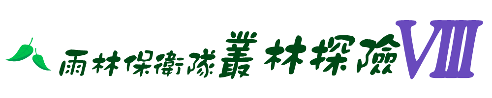 雨林保衛隊 叢林探險VIII